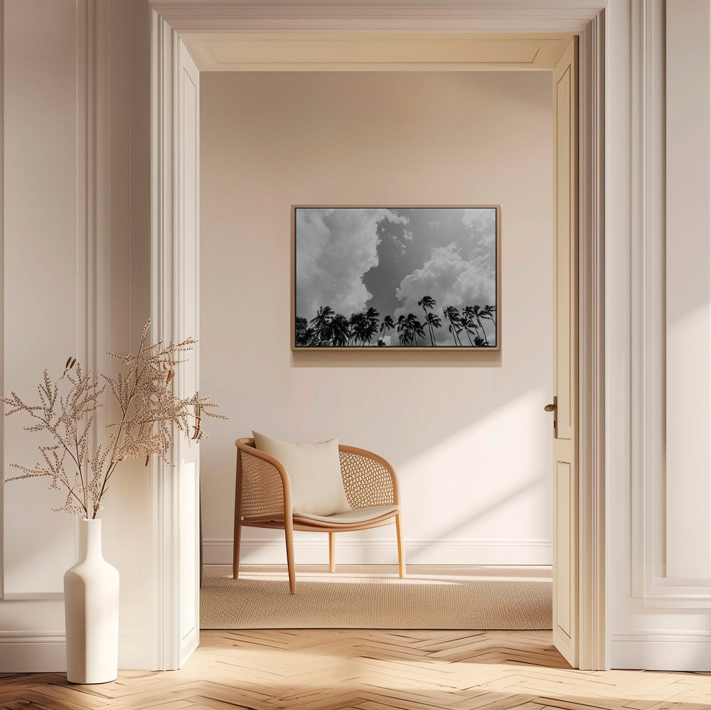 Arte paesaggistica con palme e cielo drammatico – Canvas1