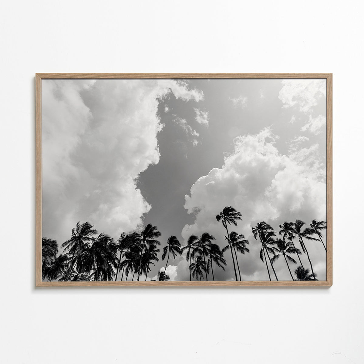 Arte paesaggistica con palme e cielo drammatico – Oak Frame