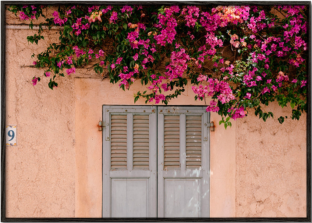 Stampa botanica: buganville sulla porta antica – Black Frame