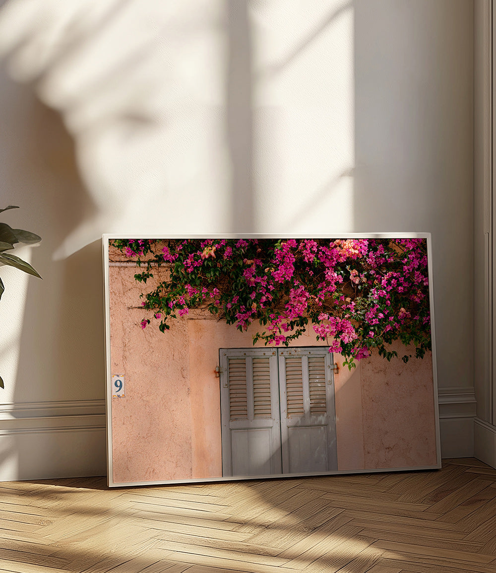 Stampa botanica: buganville sulla porta antica – Product2