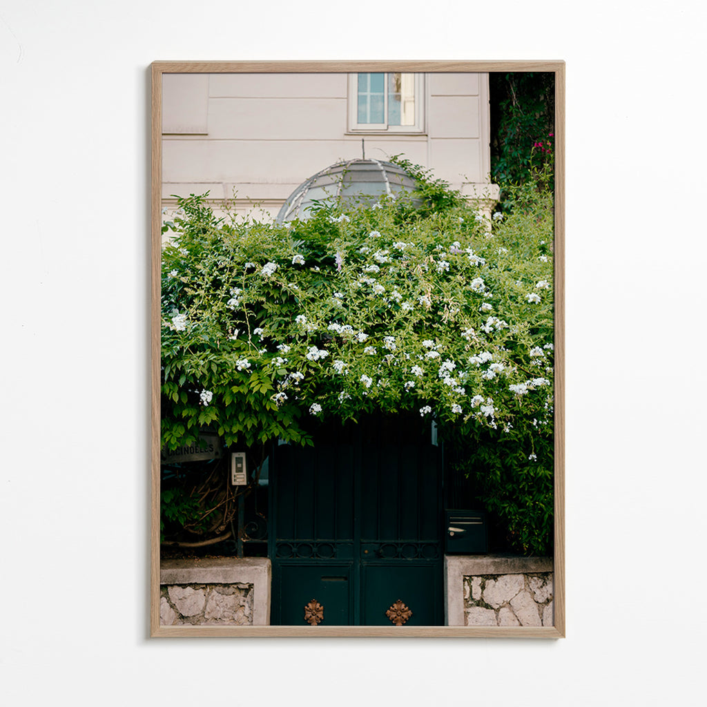 Stampa botanica con vite bianca sul portale – Oak Frame