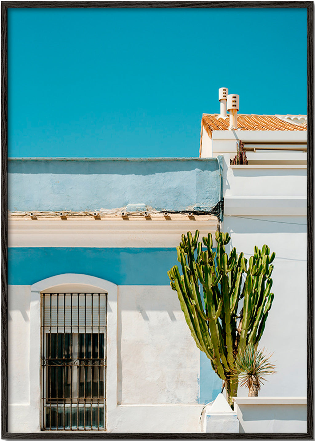 Stampa botanica: facciata mediterranea con cactus – Black Frame