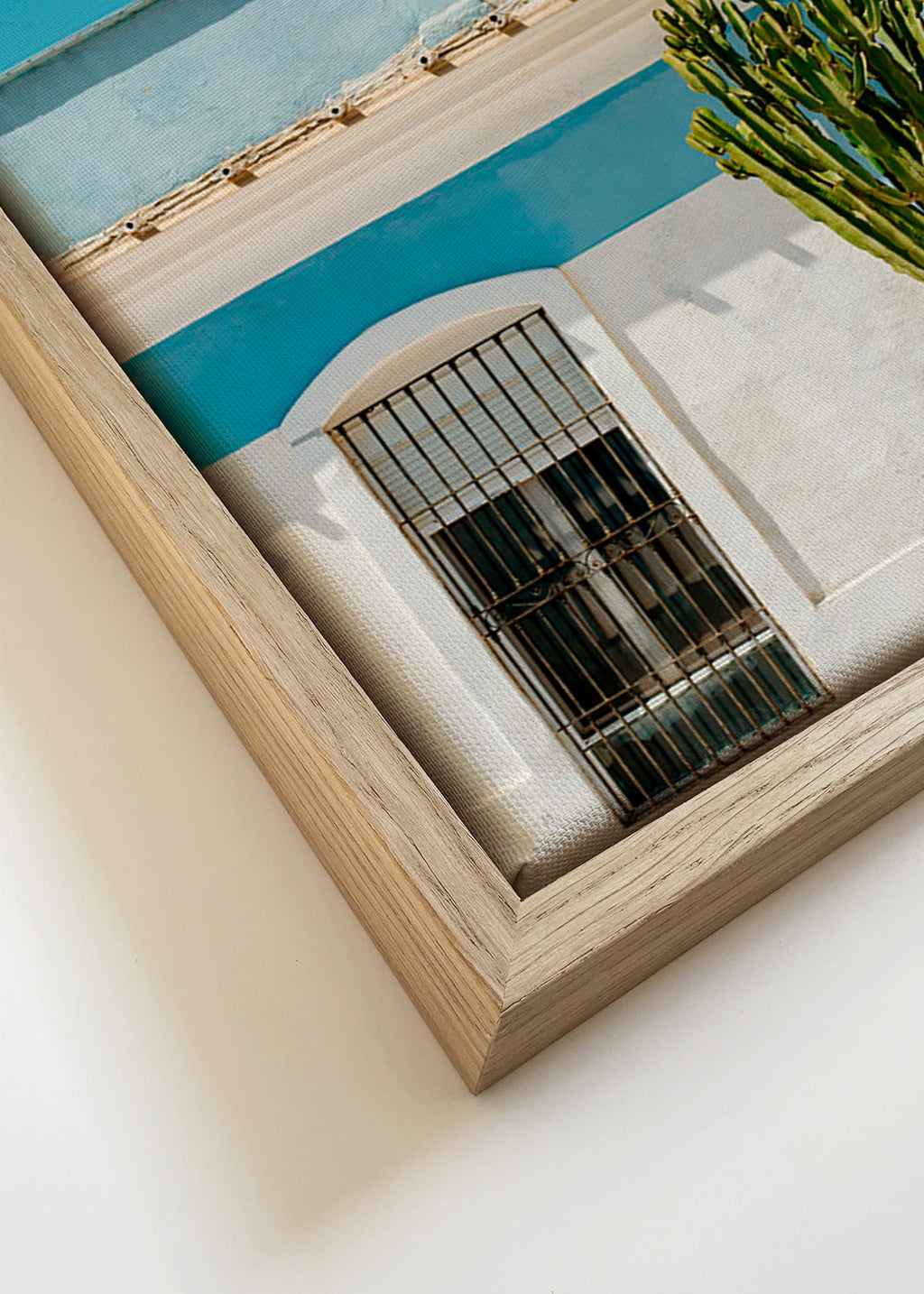 Stampa botanica: facciata mediterranea con cactus – Canvas detail