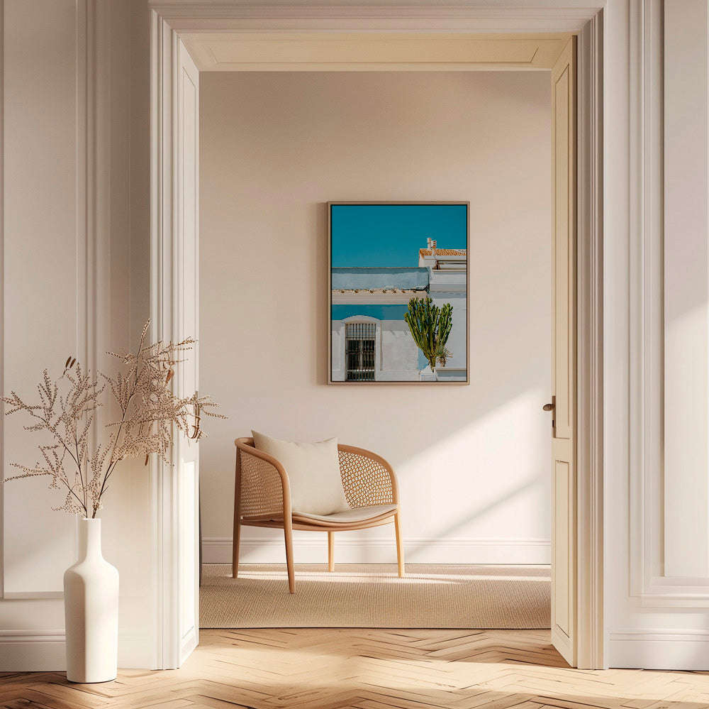 Stampa botanica: facciata mediterranea con cactus – Canvas2