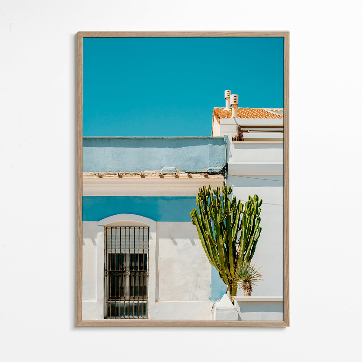 Stampa botanica: facciata mediterranea con cactus – Oak Frame