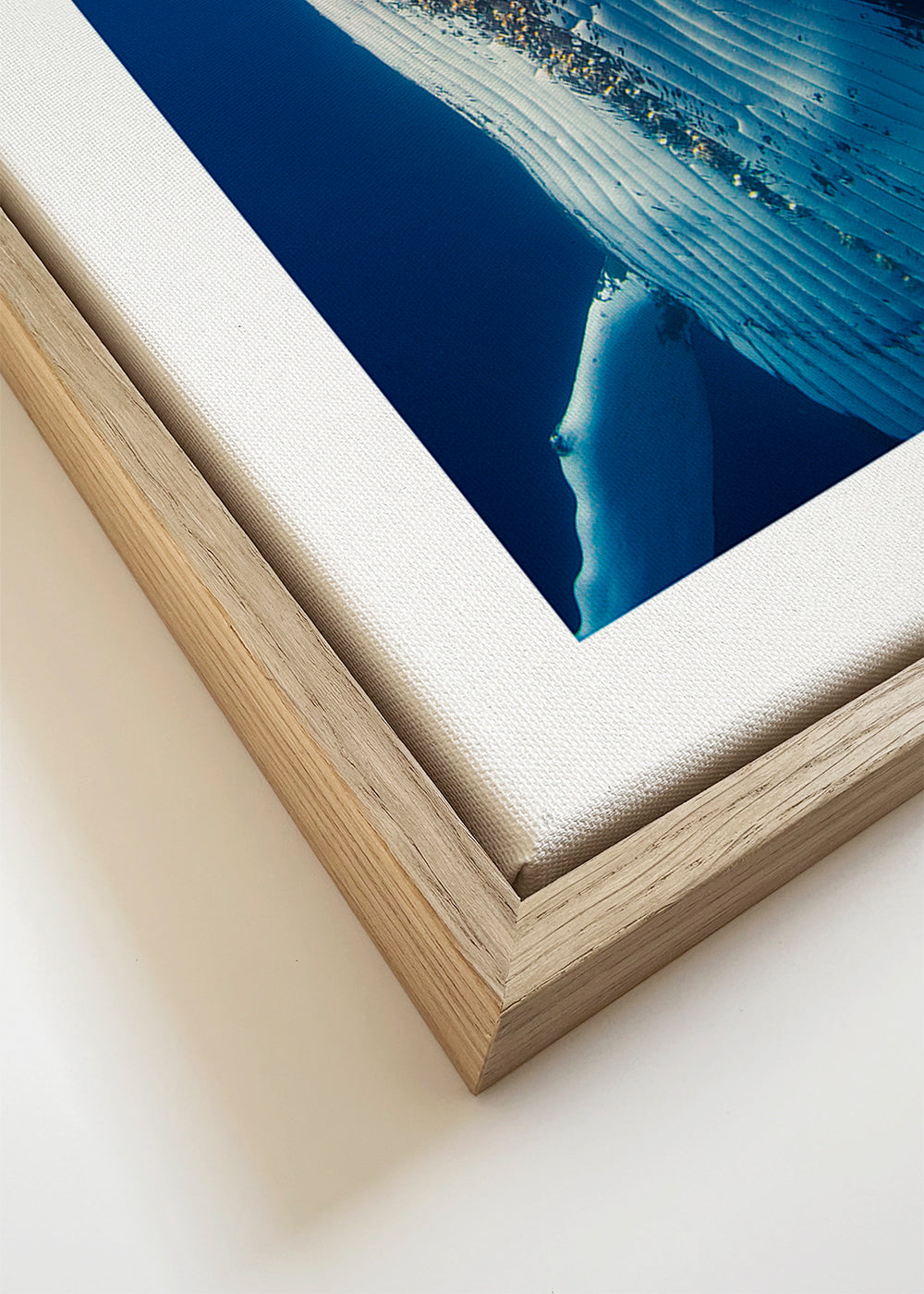 Come back to the surface - Barathieu Gabriel