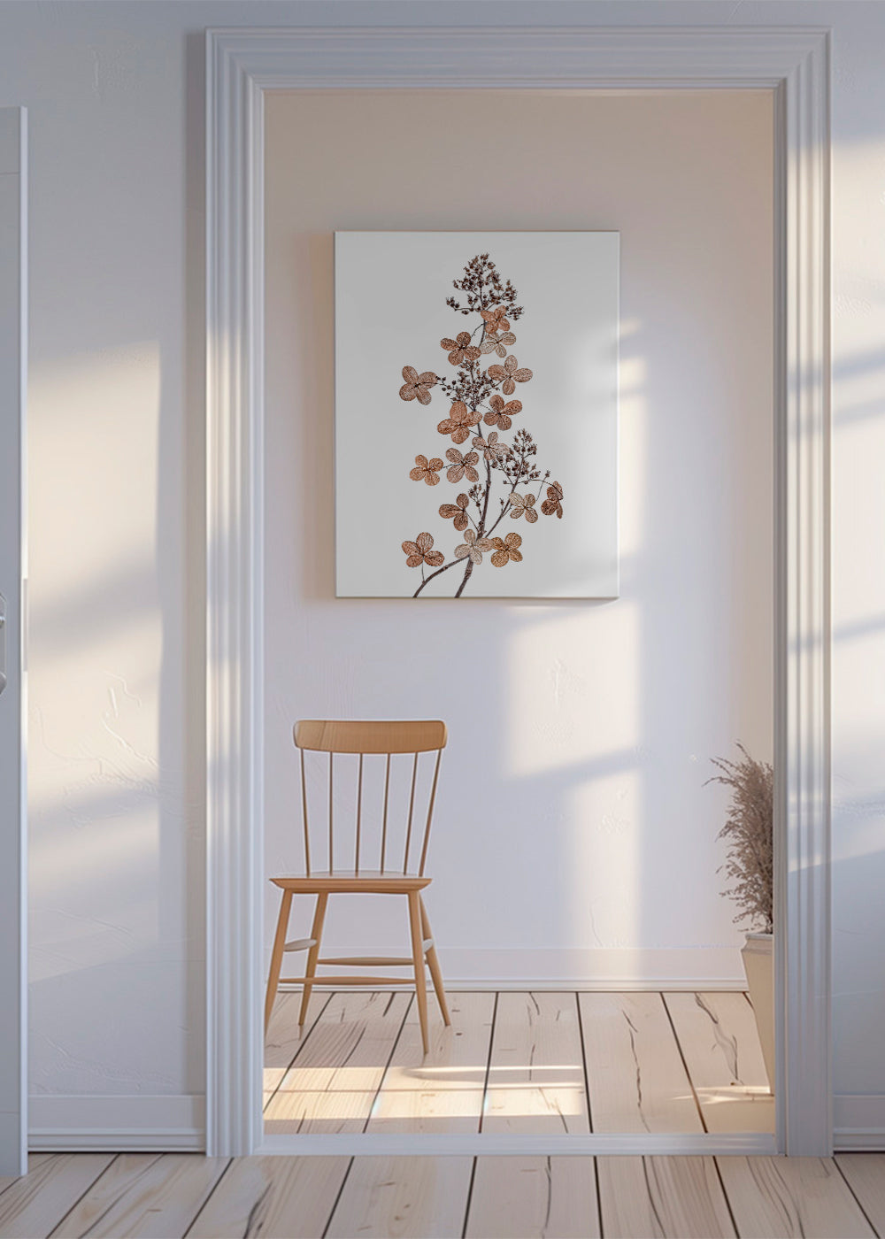 Hydrangea Paniculata - Mandy Disher