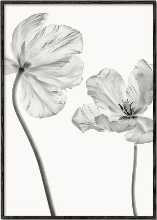 Same tulip  front and backview - Lotte Grønkjær