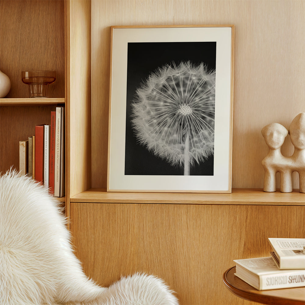 Dandelion - Bess Hamiti