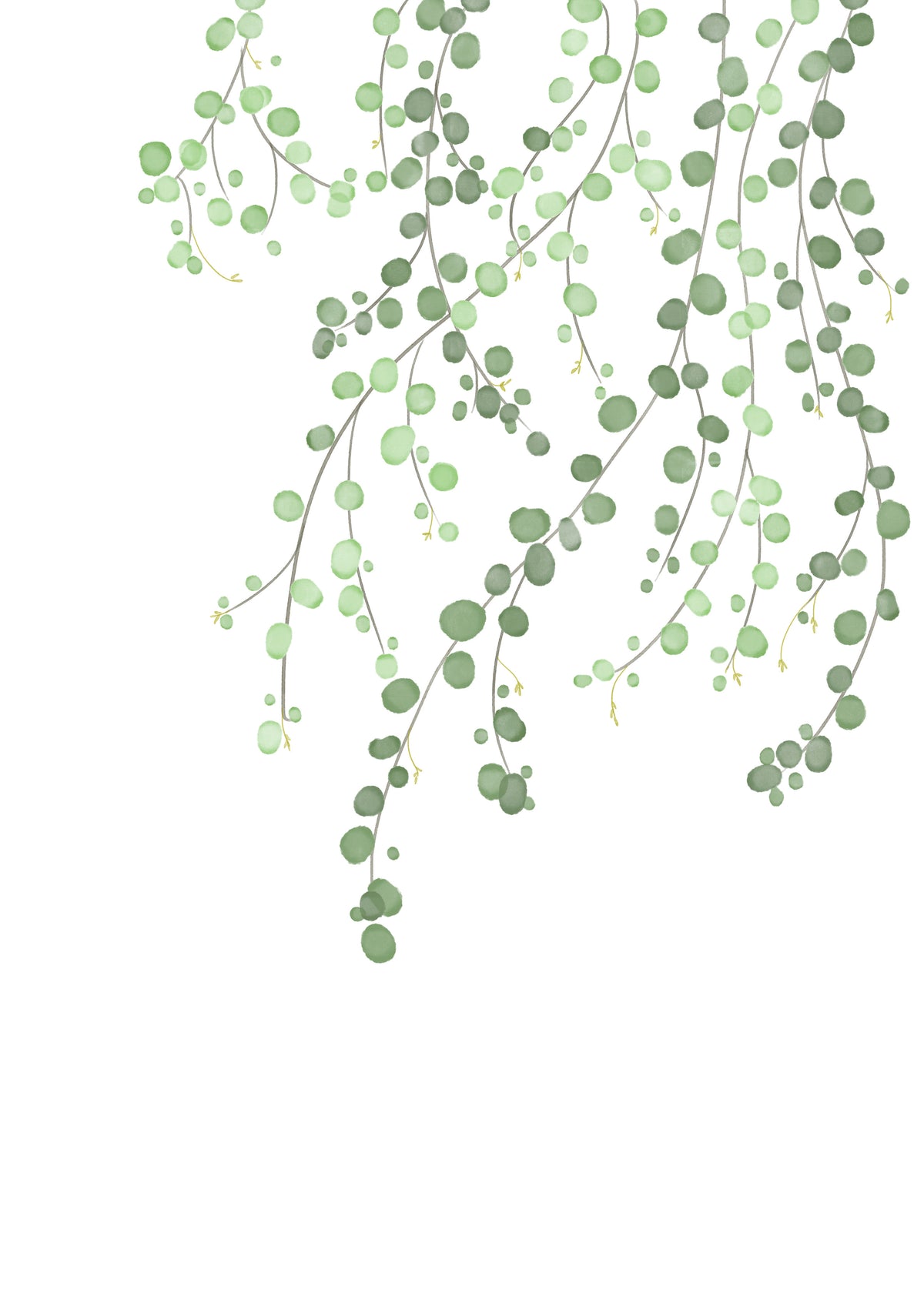 Birch Tree - Unframed art print