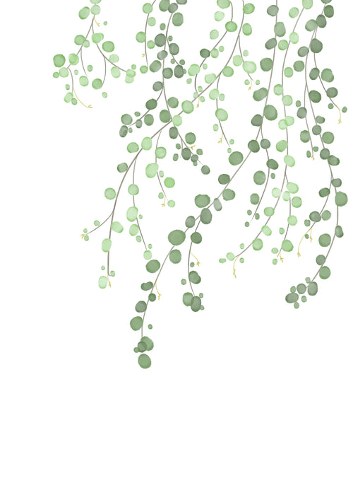 Birch Tree - Unframed art print