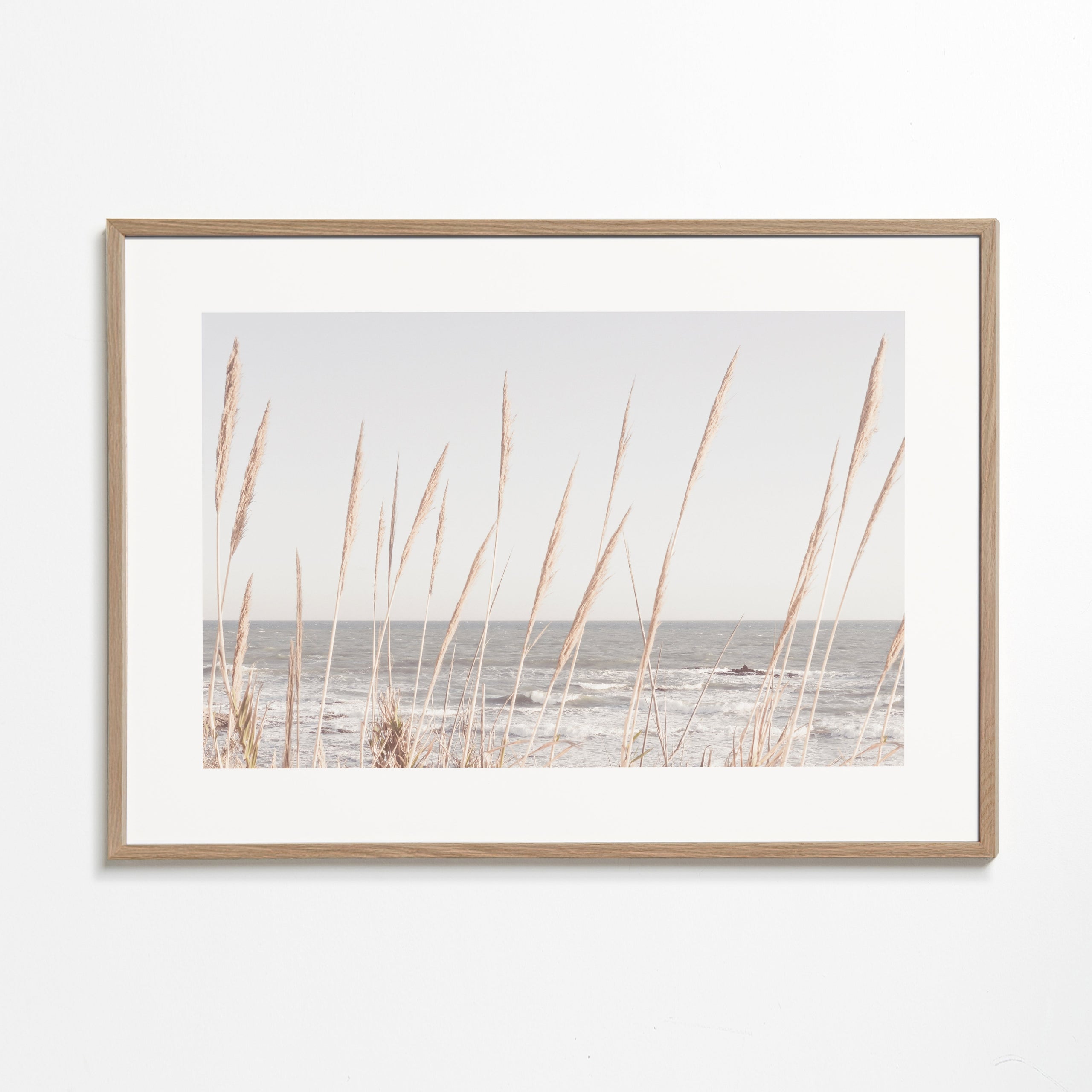 Beach Vass II