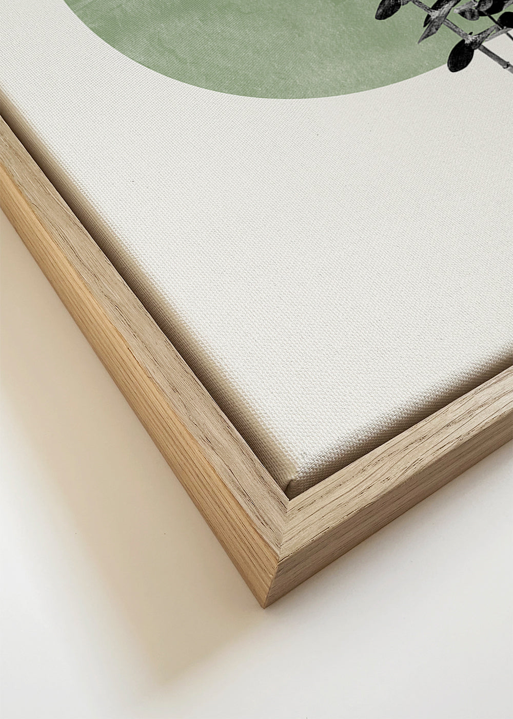 Eucalyptus and Green Moon - THE MIUUS STUDIO