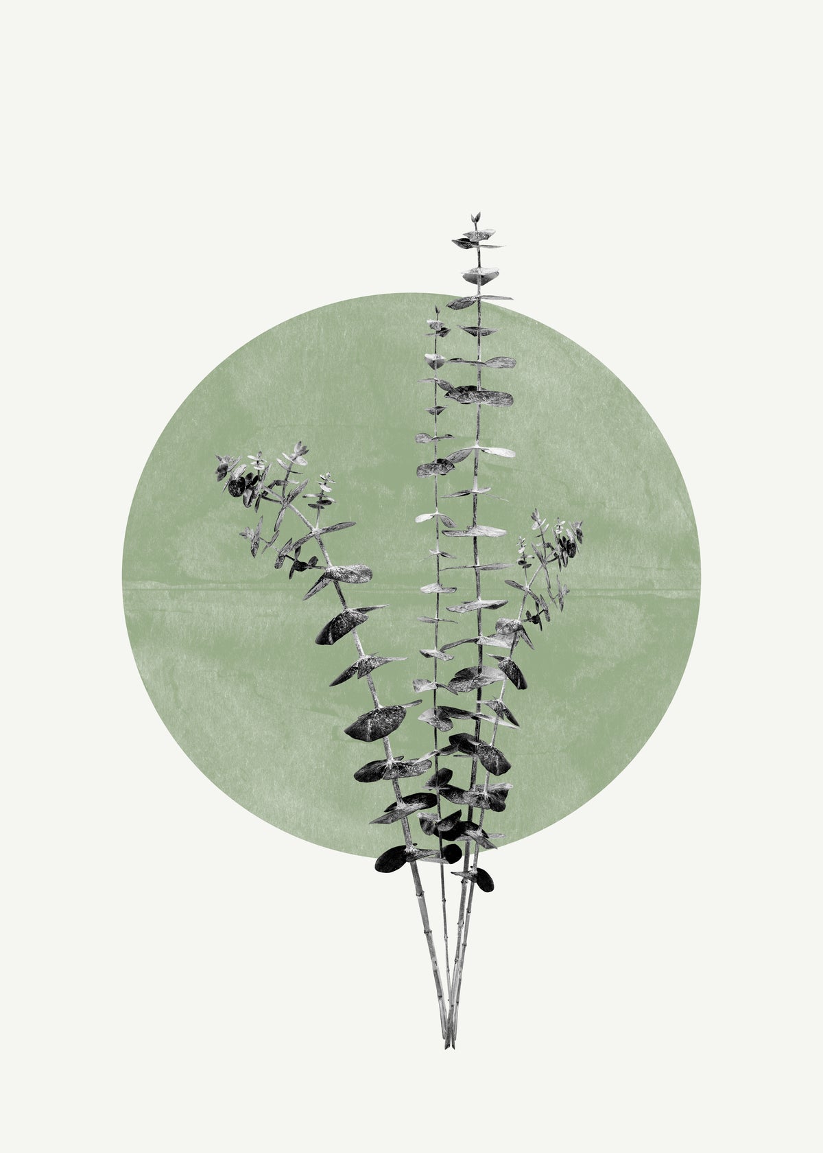 Eucalyptus and Green Moon - Unframed art print