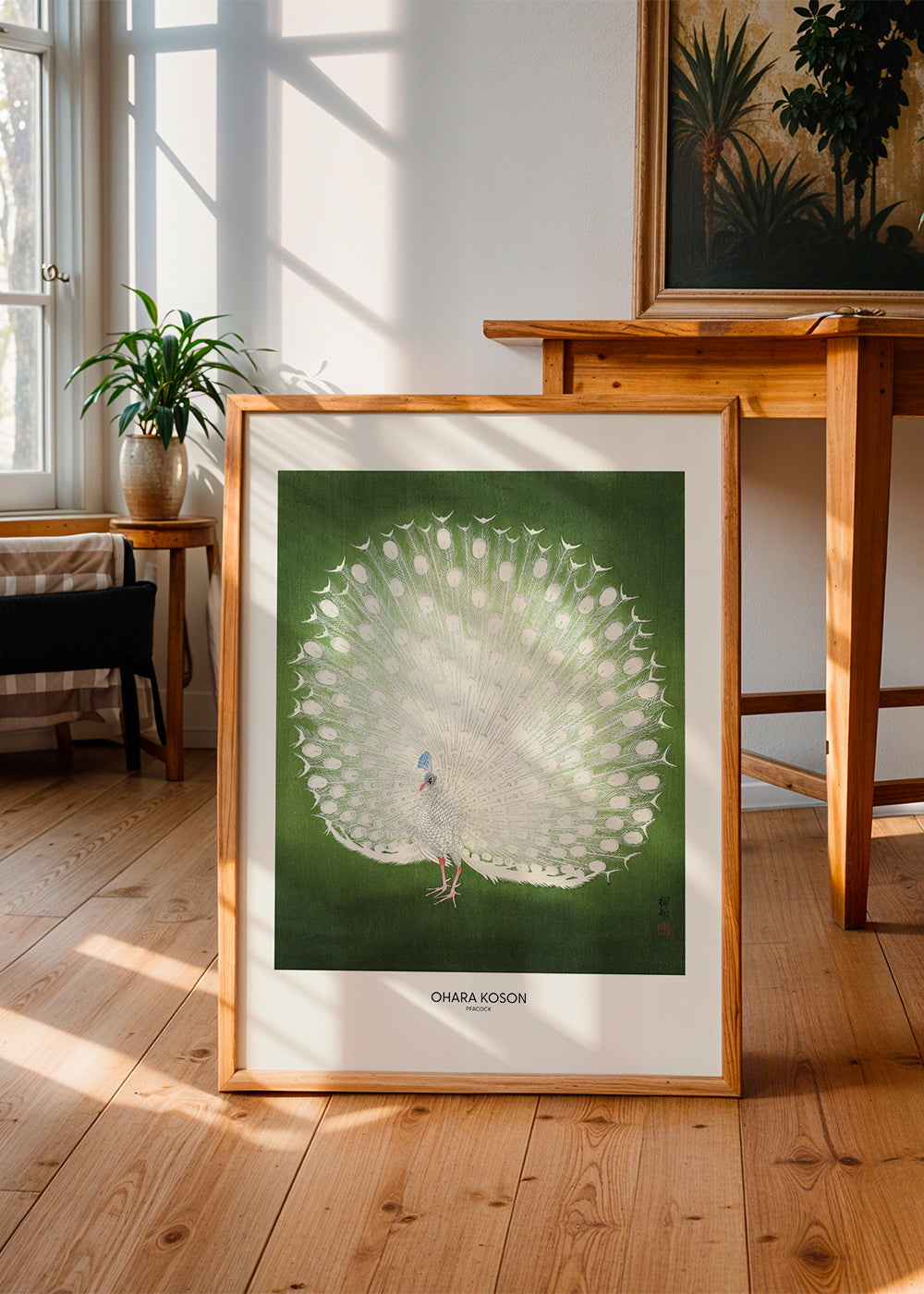 Peacock - Wide - Pictufy