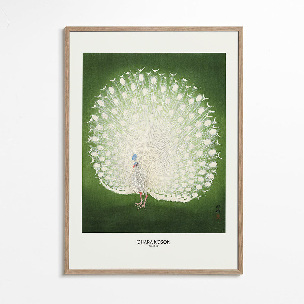 Peacock - Wide - Pictufy