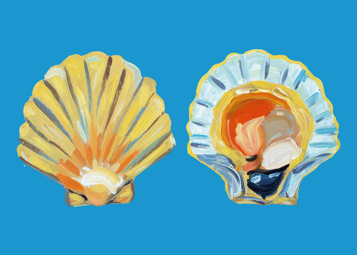 Scallops On Blue - Unframed art print