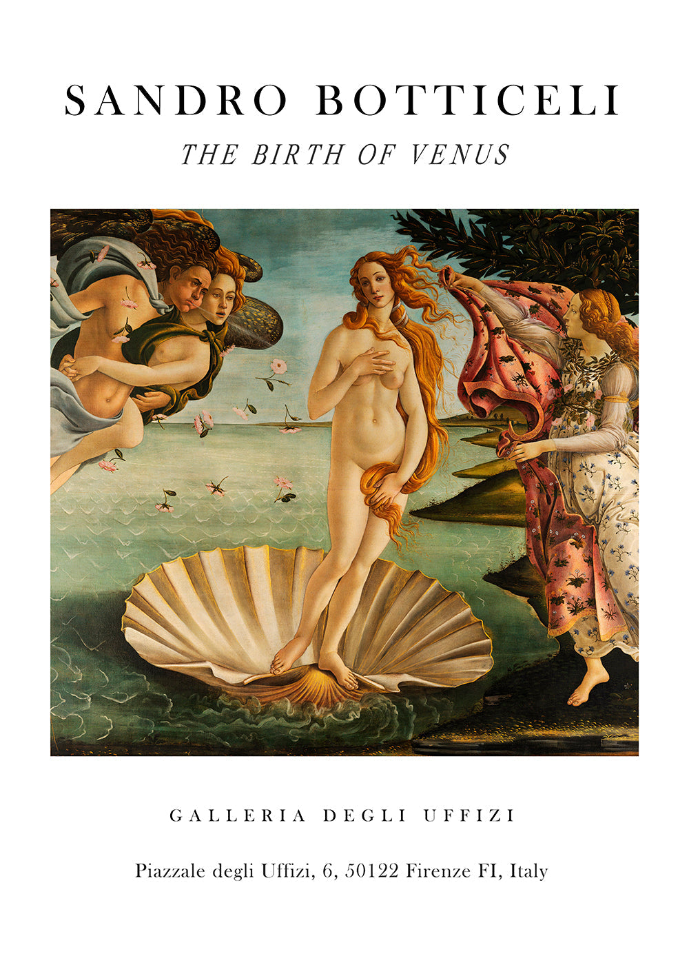 La Nascita di Venere Exhibition White - Sandro Botticelli