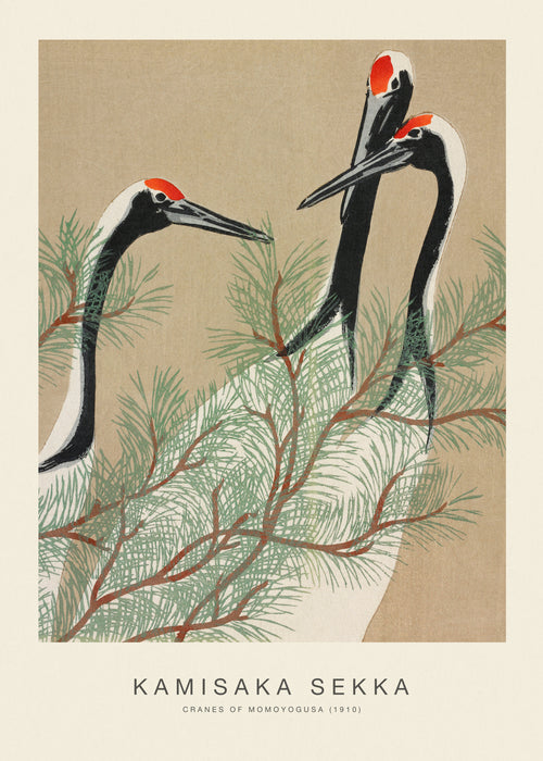 Cranes of Momoyogusa (Special Edition) - Kamisaka Sekka - Unframed art print