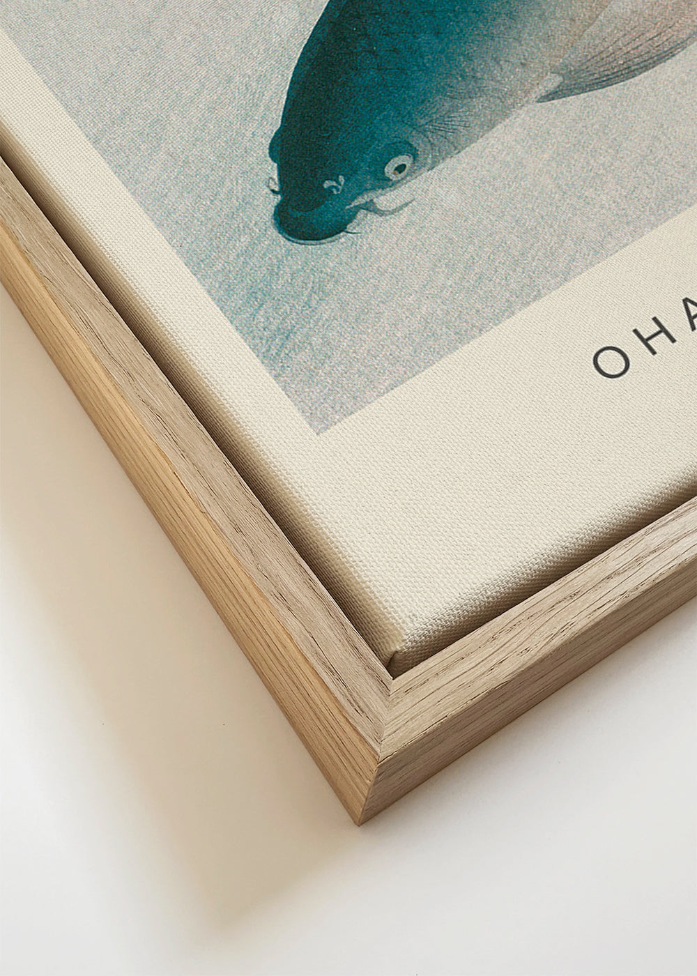 Nishikigoi, Two Koi Carp (Special Edition) - Ohara Koson