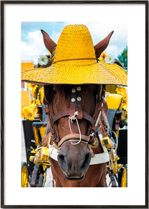 Ritratto di cavallo con cappello giallo – Black Frame