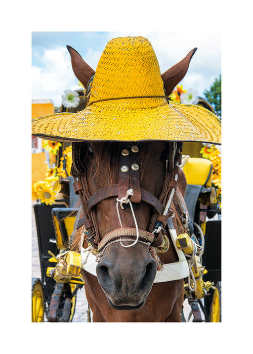 Ritratto di cavallo con cappello giallo