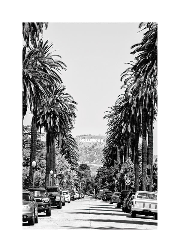 Poster di città: strada con palme a Hollywood in bianco e nero