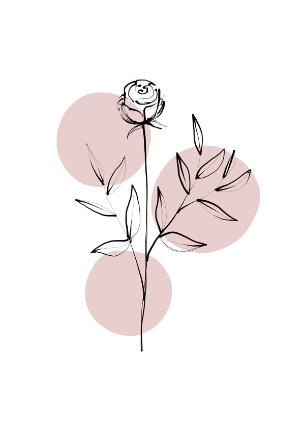 Wild rose