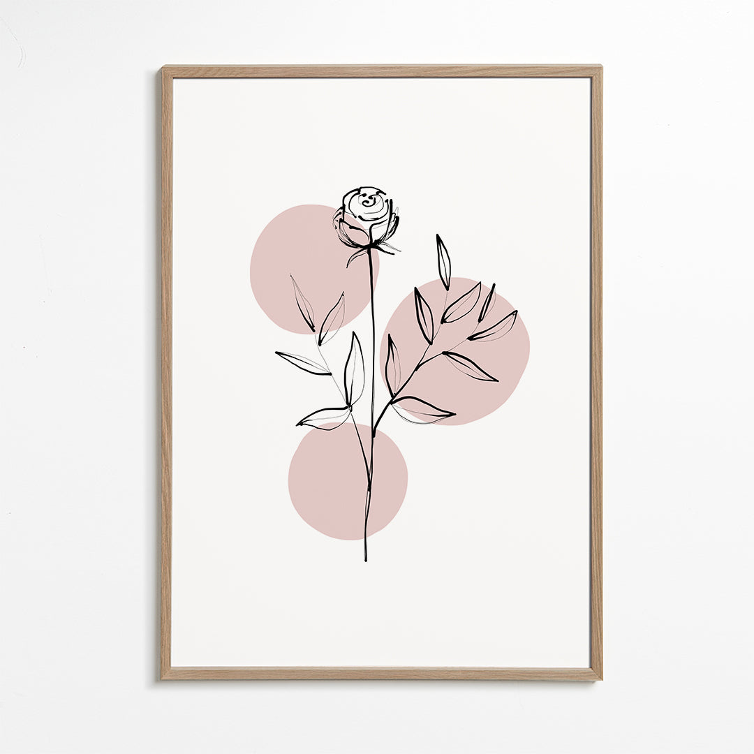 Wild rose
