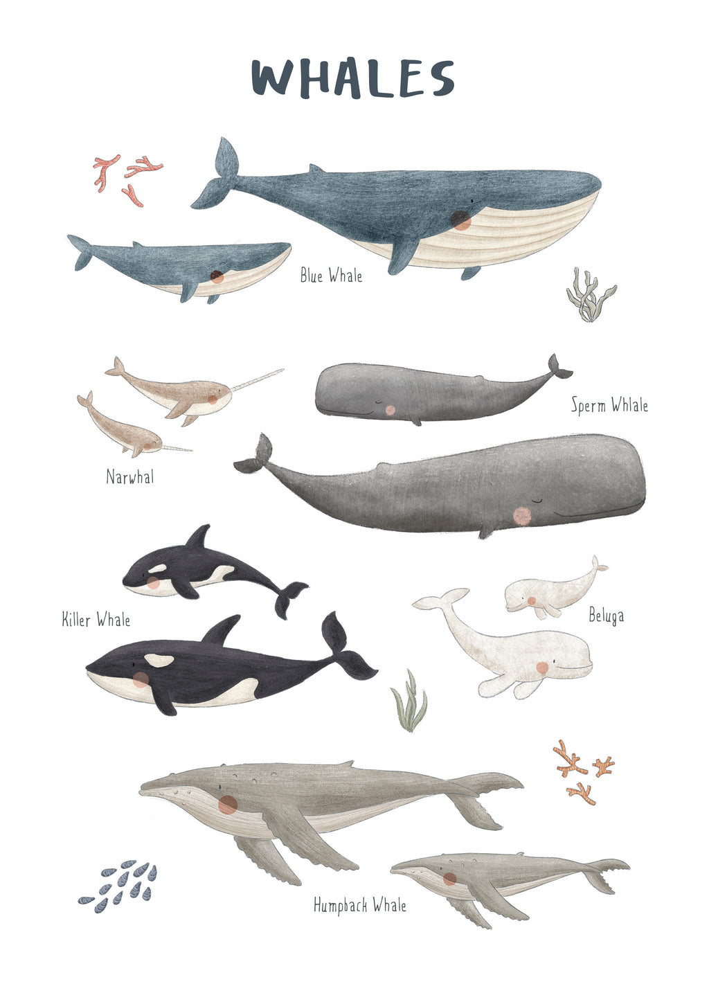 Ballenas fondo blanco (inglés) - Unframed art print