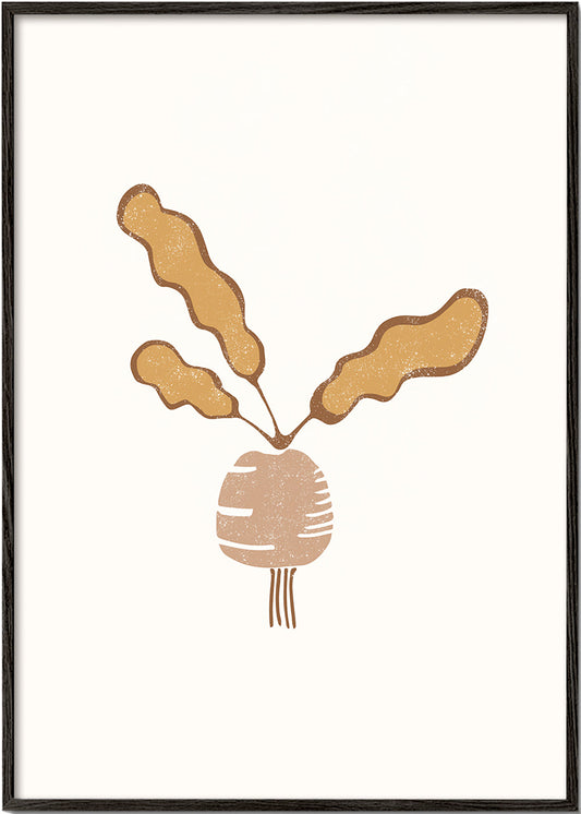 Beet vegetable