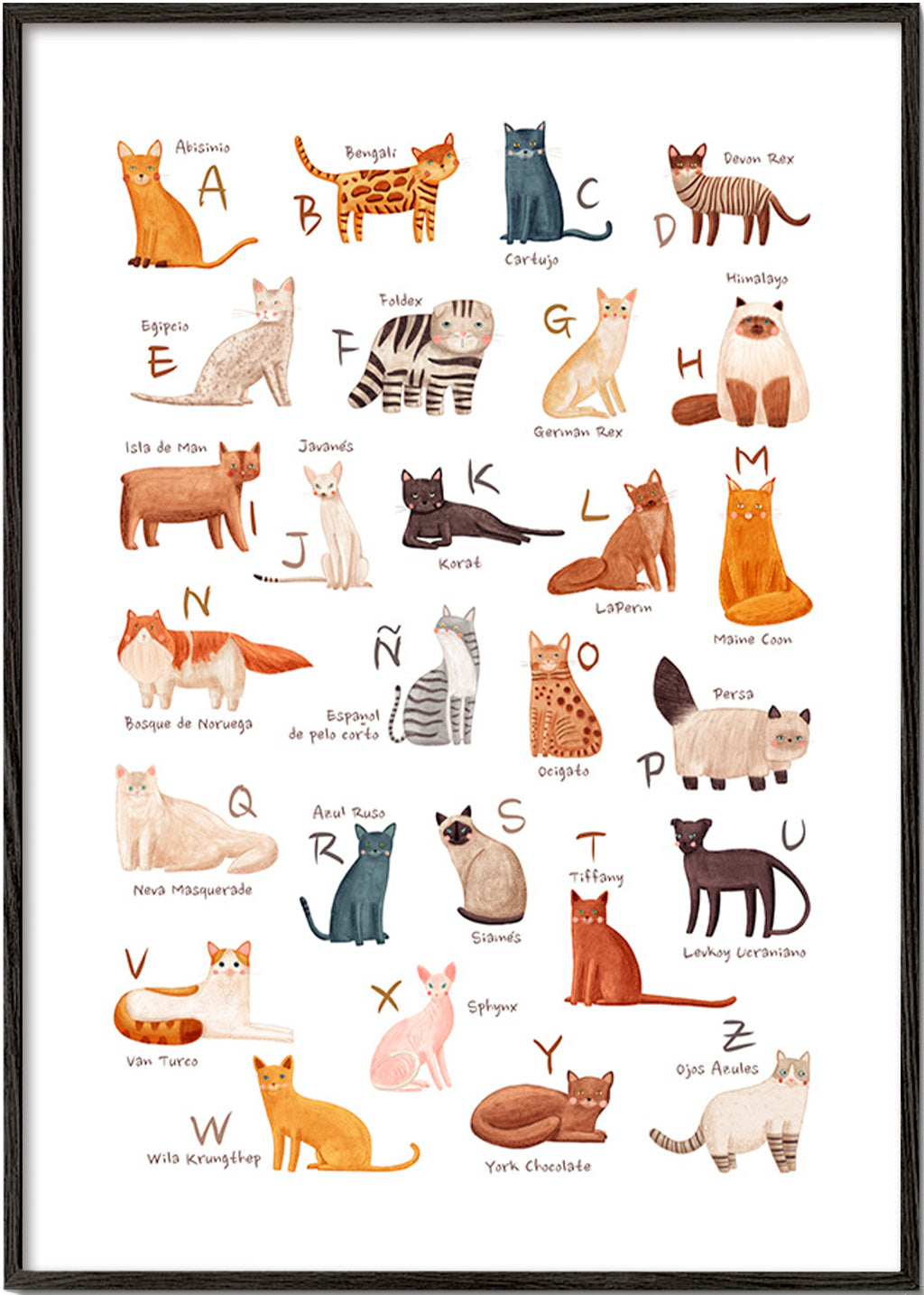Stampa per bambini Alfabeto di gatti illustrato