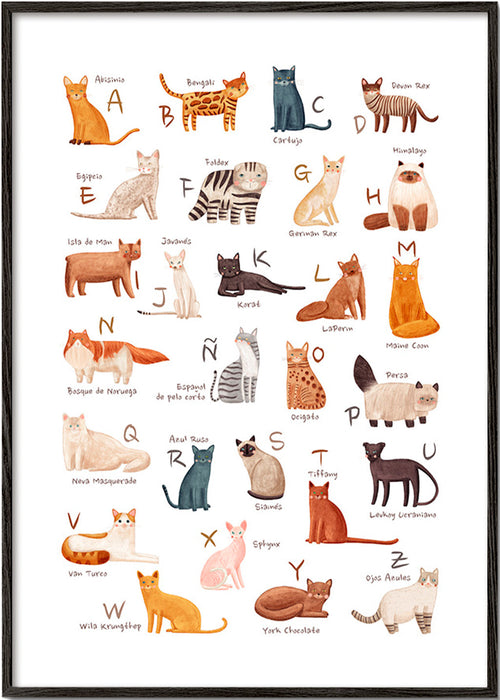 Stampa per bambini Alfabeto di gatti illustrato