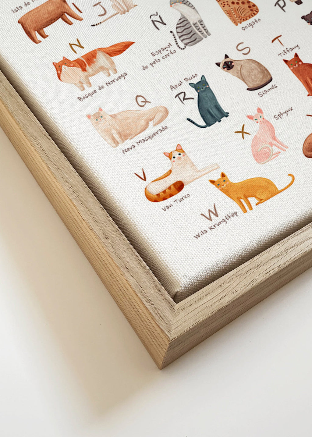 Stampa per bambini Alfabeto di gatti illustrato
