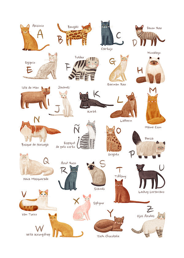 Stampa per bambini Alfabeto di gatti illustrato