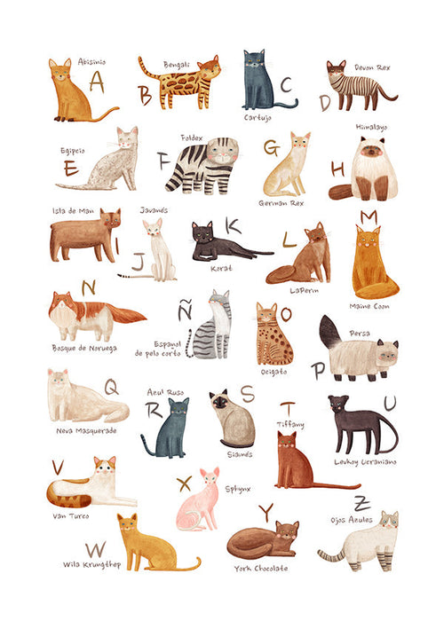 Stampa per bambini Alfabeto di gatti illustrato