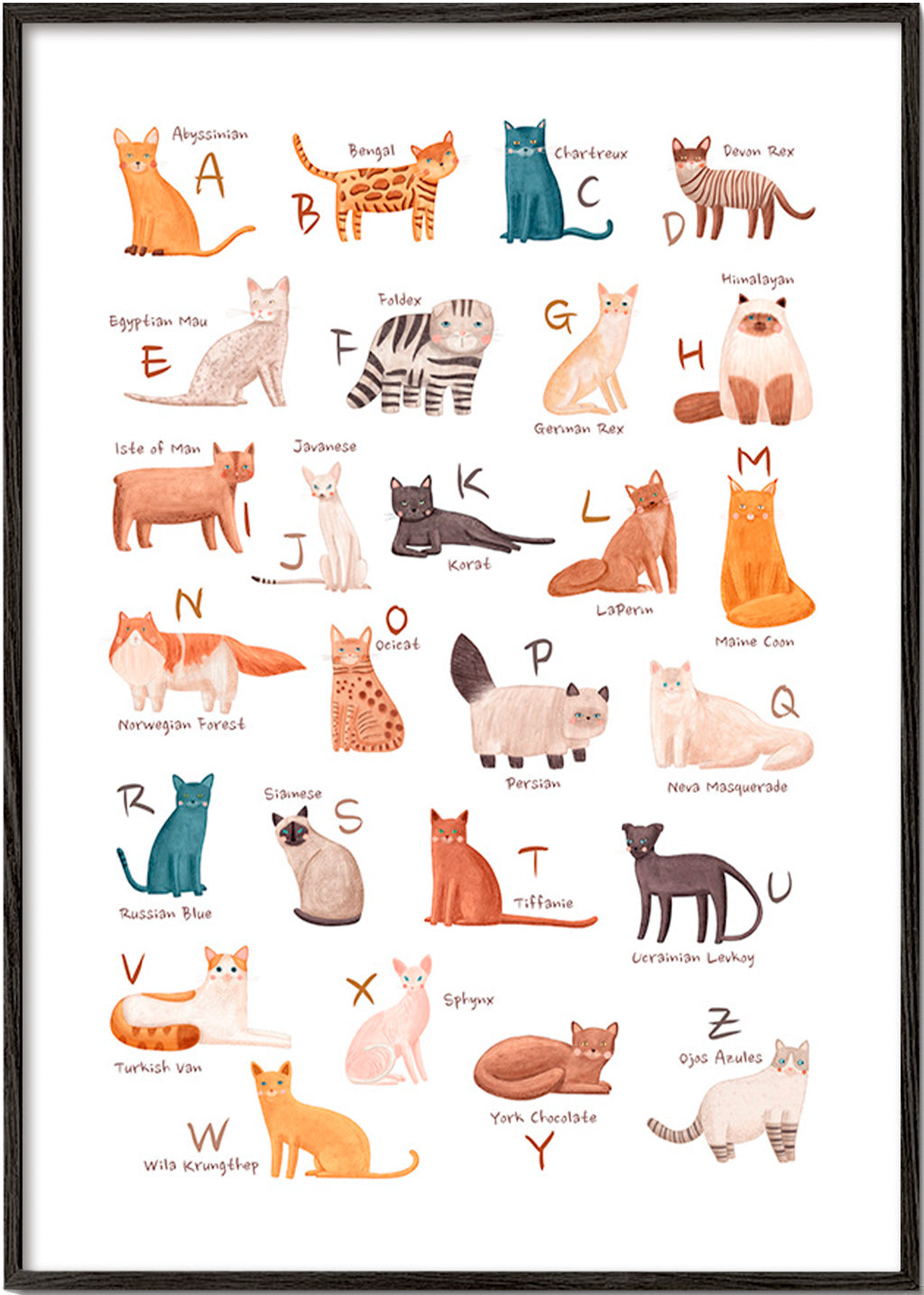 Stampa per bambini: alfabeto dei gatti illustrato