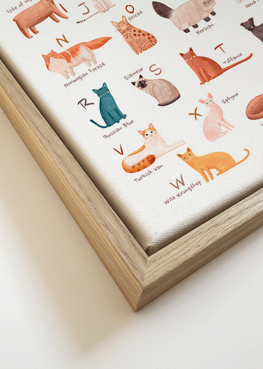 Stampa per bambini: alfabeto dei gatti illustrato
