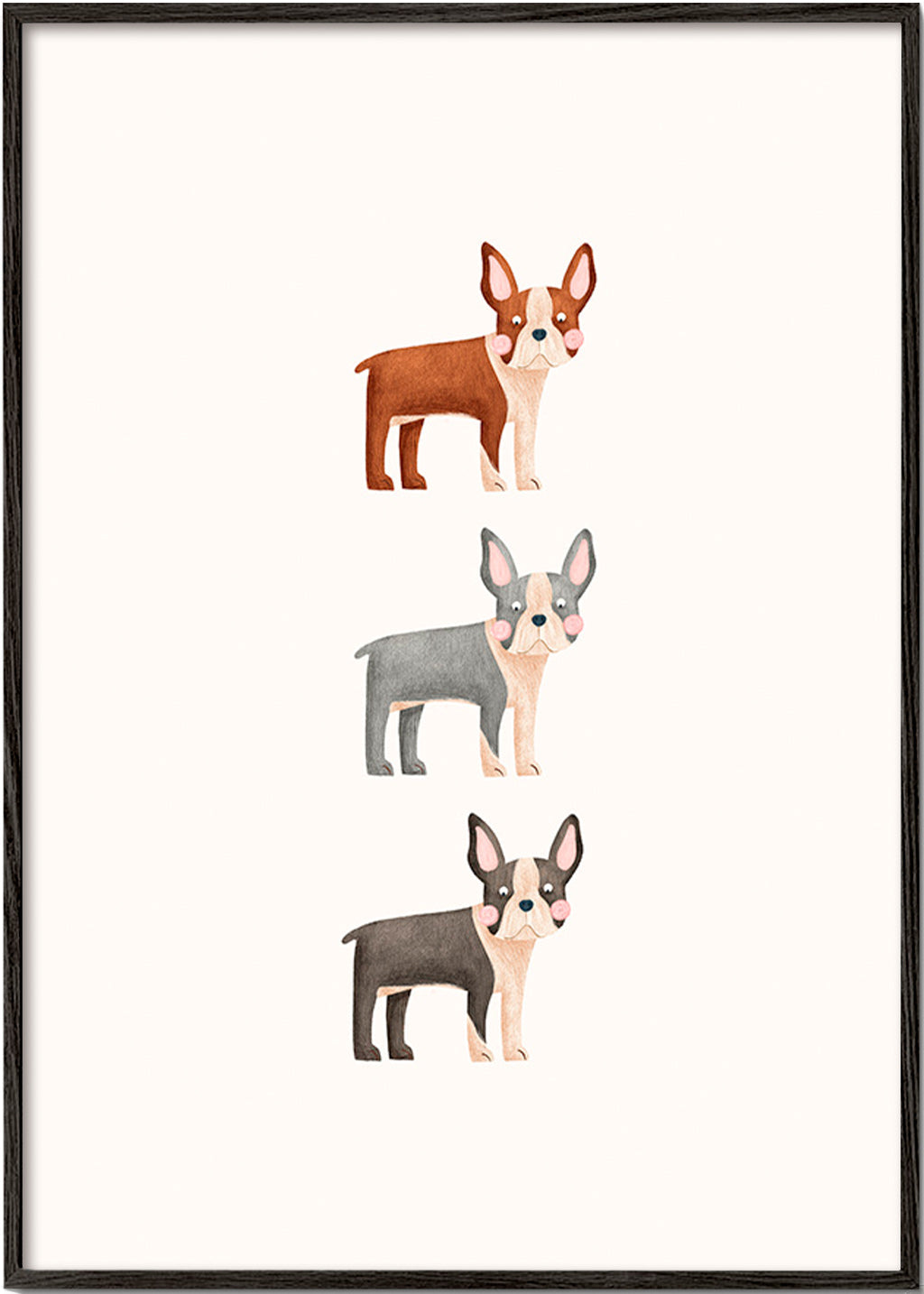 Opera Tre Boston Terrier