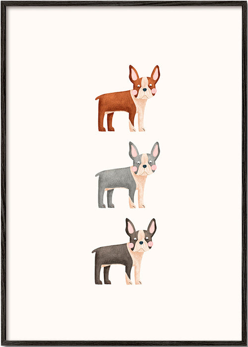 Opera Tre Boston Terrier
