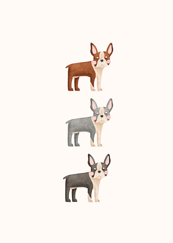 Opera Tre Boston Terrier