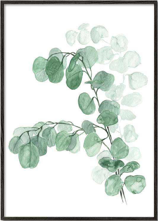 Watercolor silver dollar eucalyptus