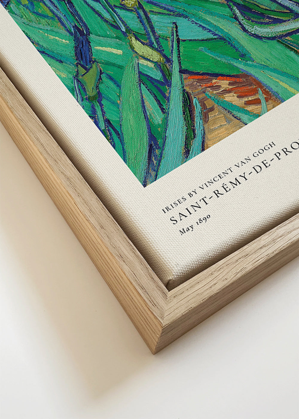 Irises by Vincent van Gogh