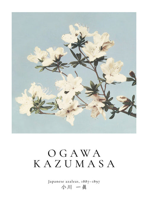 Japanese azaleas by Ogawa Kazumasa