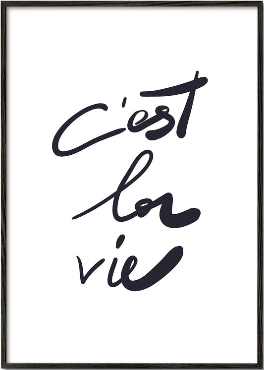 c'est la vie poster