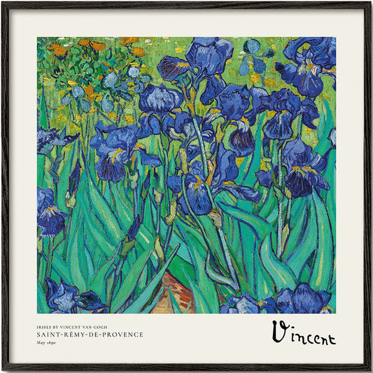 Irises by Vincent van Gogh - Square