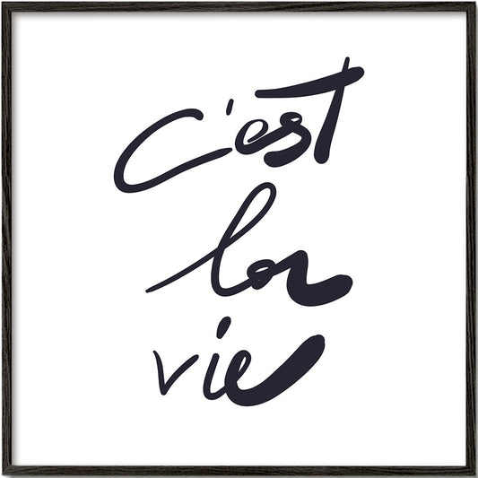 c'est la vie poster - Square