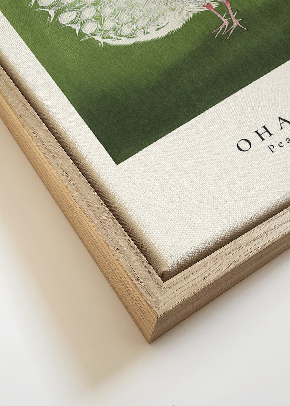 Ohara Koson, Peacock