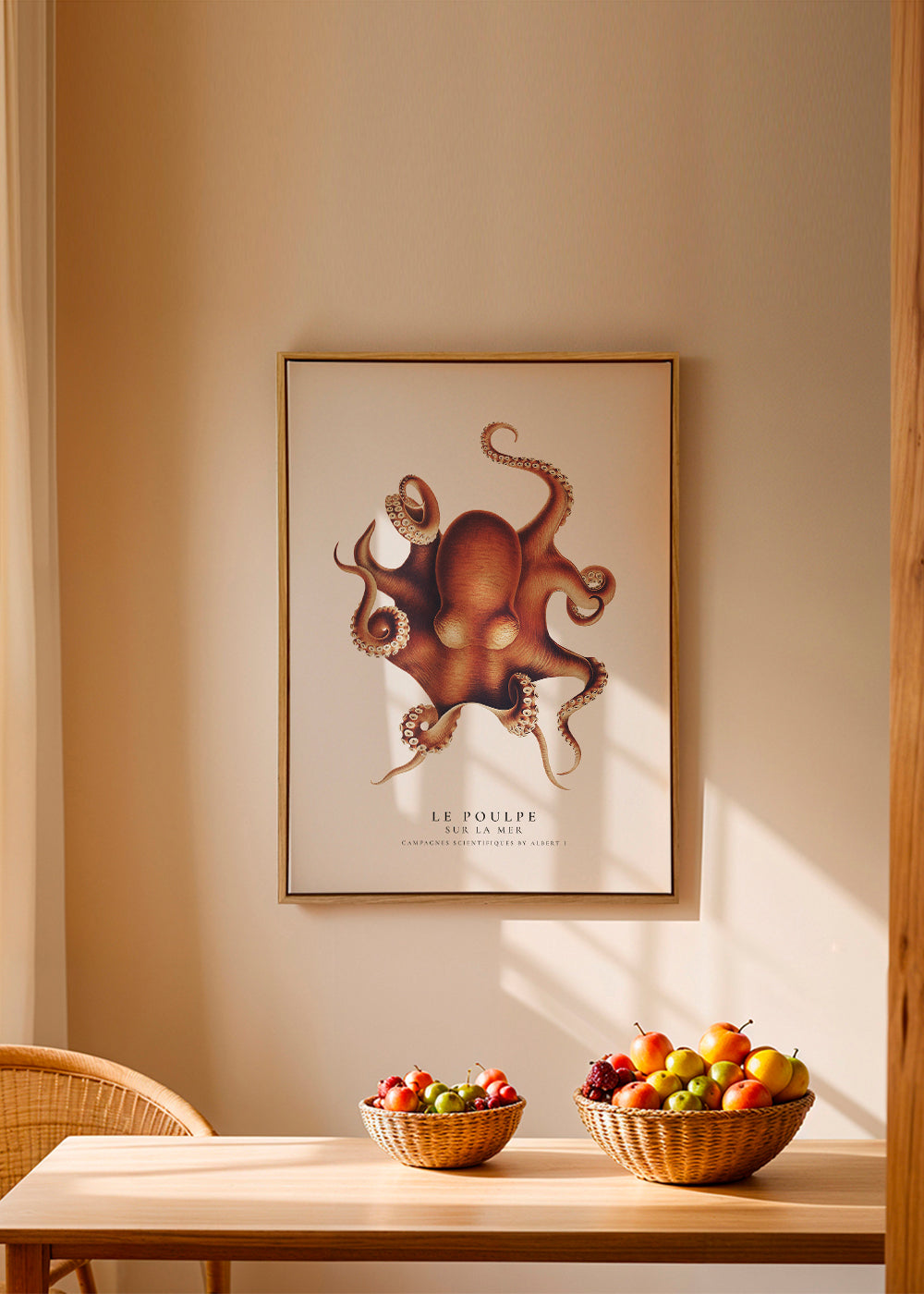 The Octopus (Le Poulpe) - Sealife Collection
