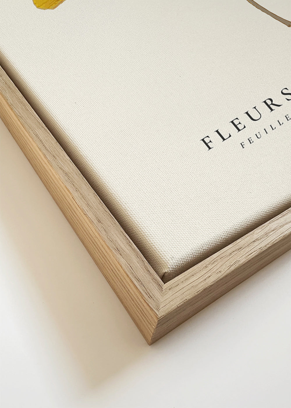 Botanical, Fleurs et plantes -Ginkgo biloba leaf